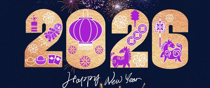 2025年终总结，2026新年展望